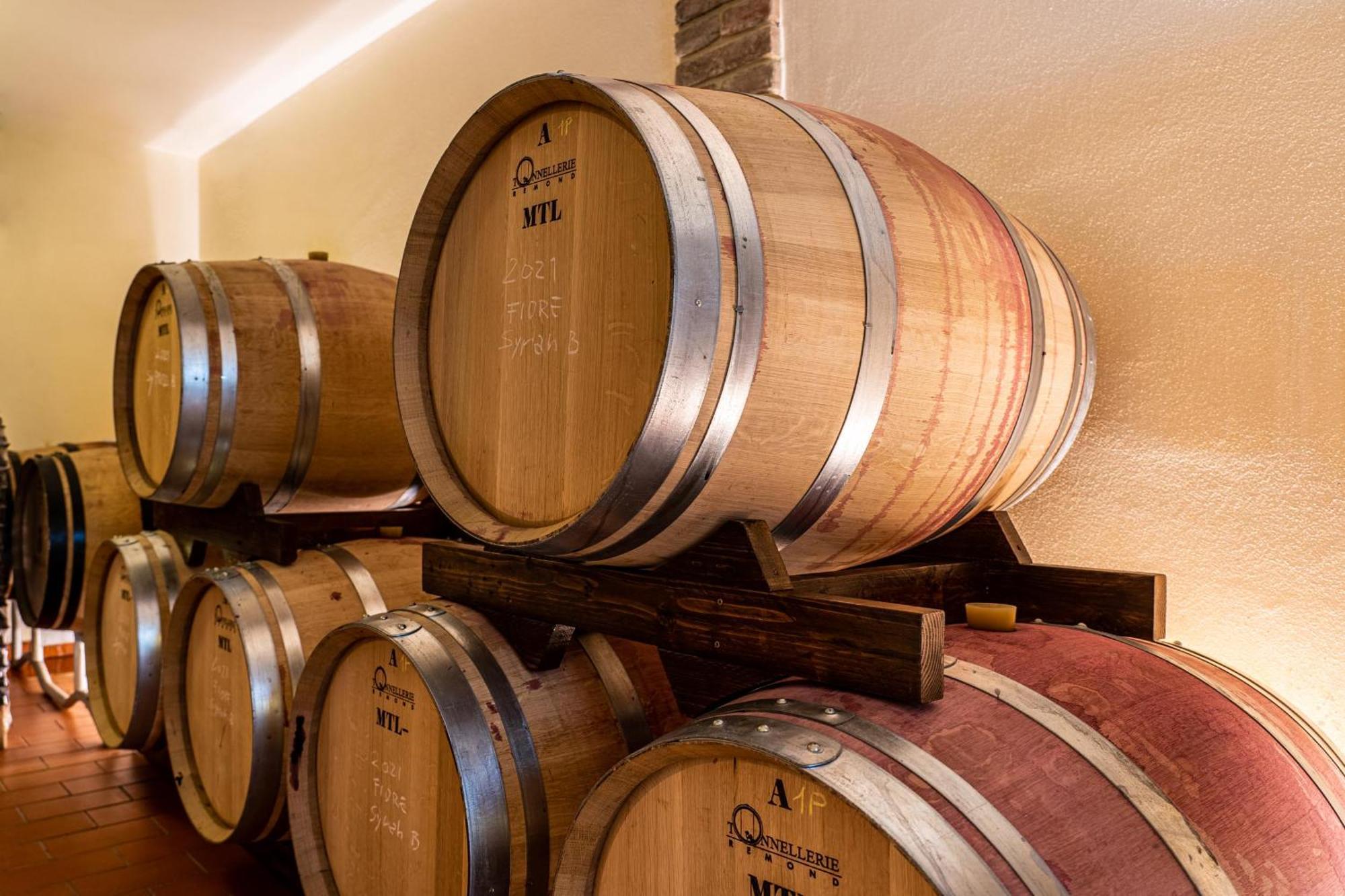 Il Querciolo - Azienda Biologica, Agriturismo E Cantina Marciano della Chiana Экстерьер фото
